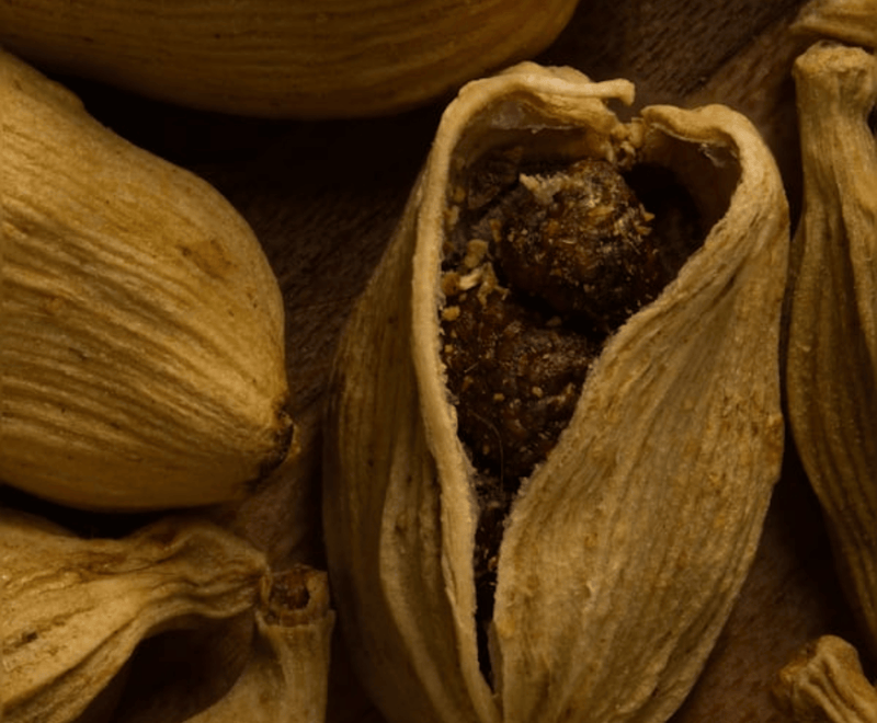 Cardamomo