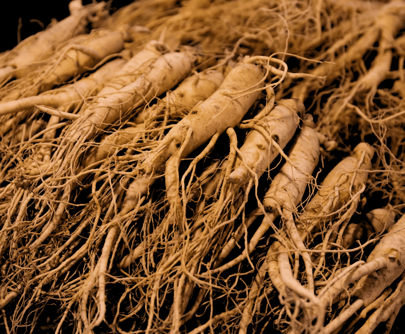 Ginseng Coreano